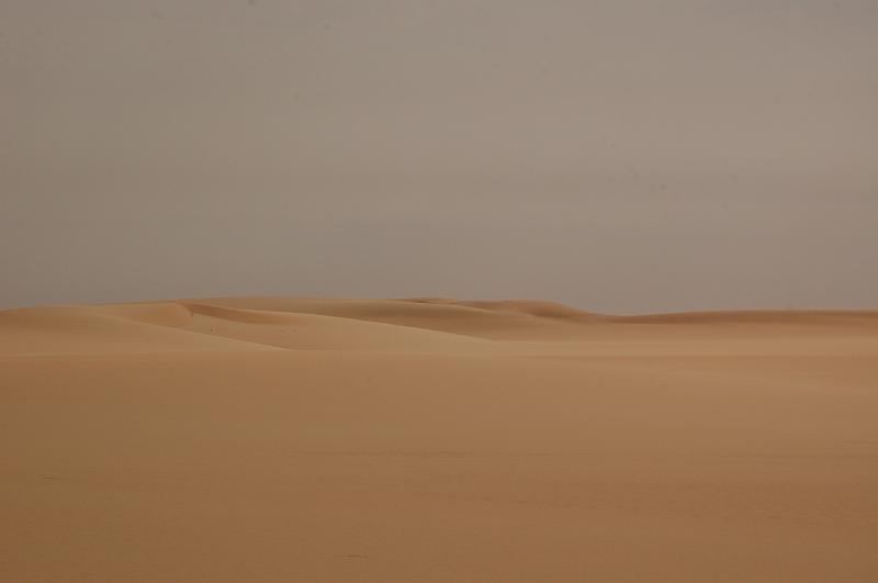 DSC_1288