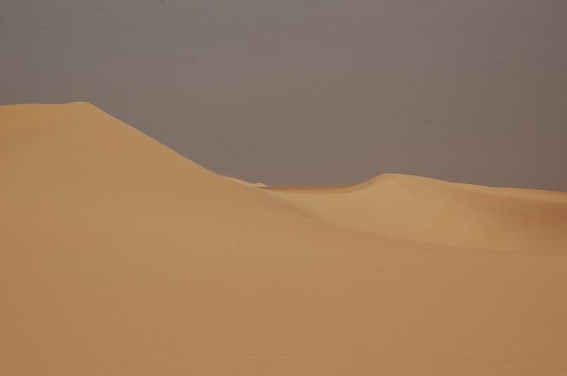 DSC_1333