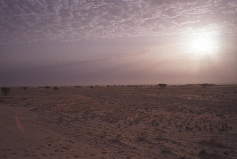 tenere_38