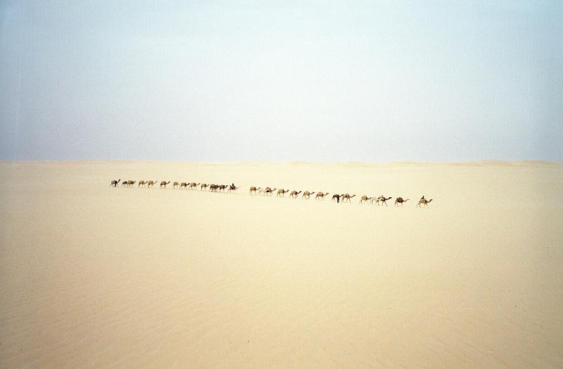 tenere_50