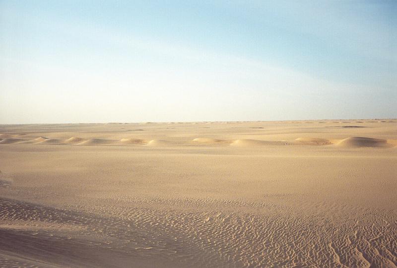tenere_55