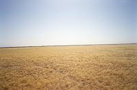 tenere_36