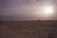 tenere_38