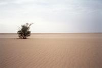 tenere_41