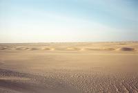tenere_55