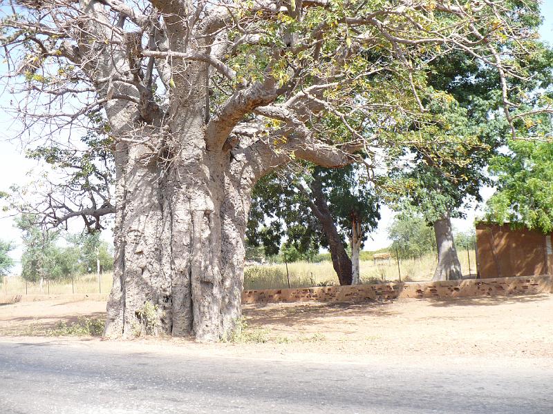 P1000133