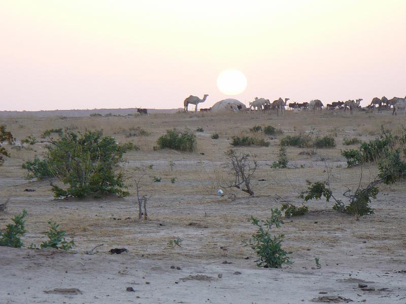 P1000143