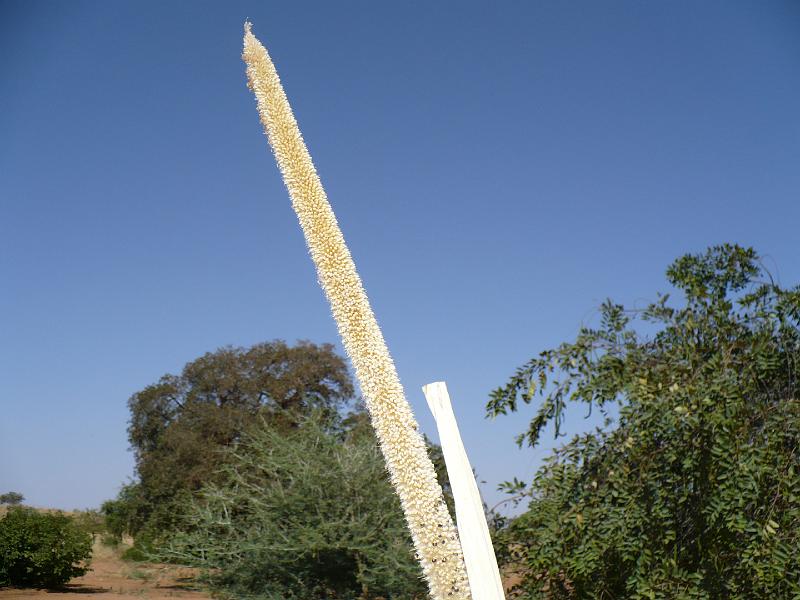P1000160