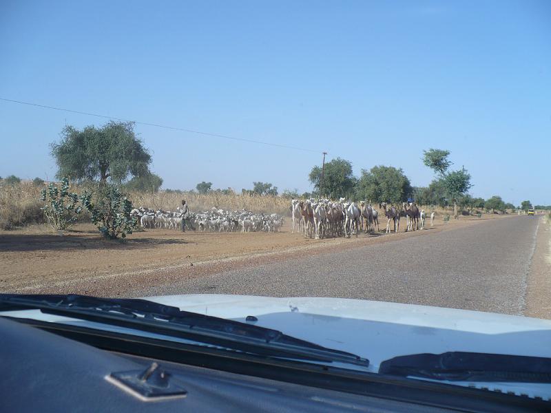 P1000167