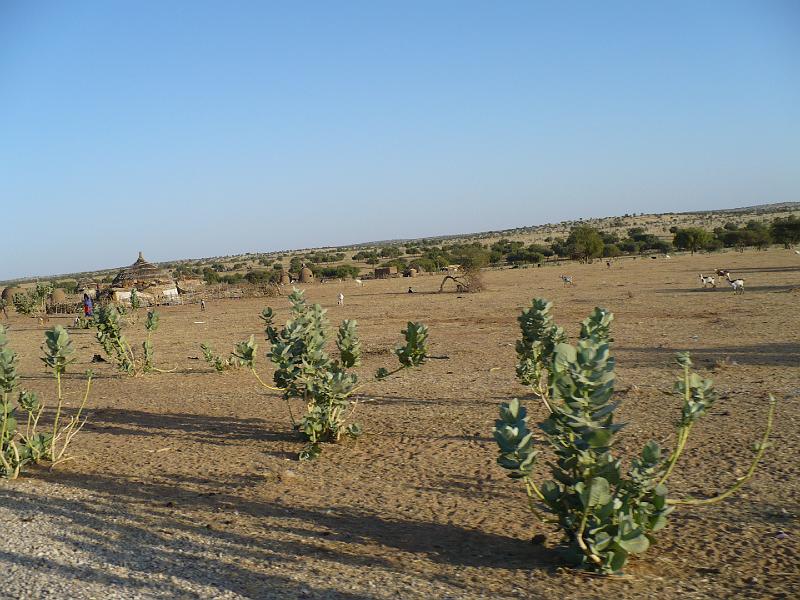 P1000171