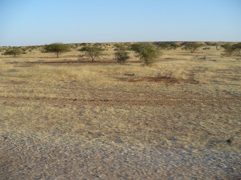 P1000176