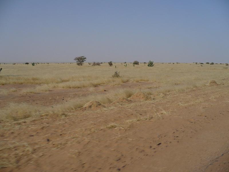 P1000186