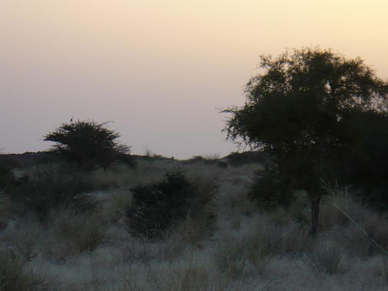 P1000190