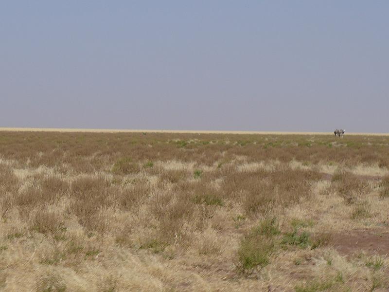 P1000207