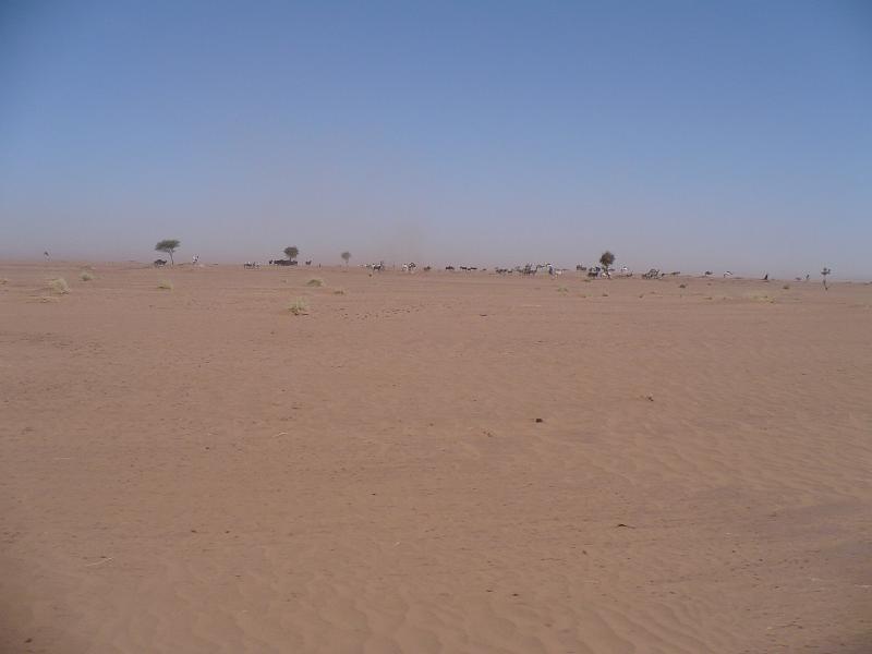 P1000208