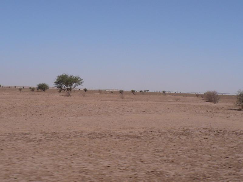 P1000209