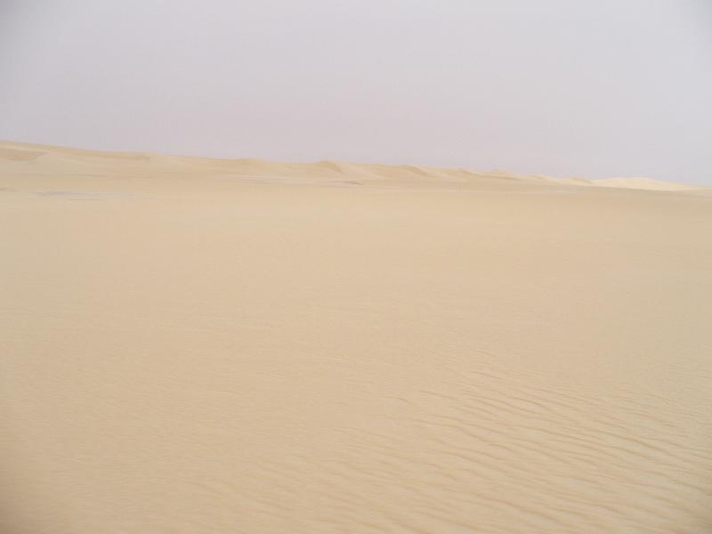P1000238