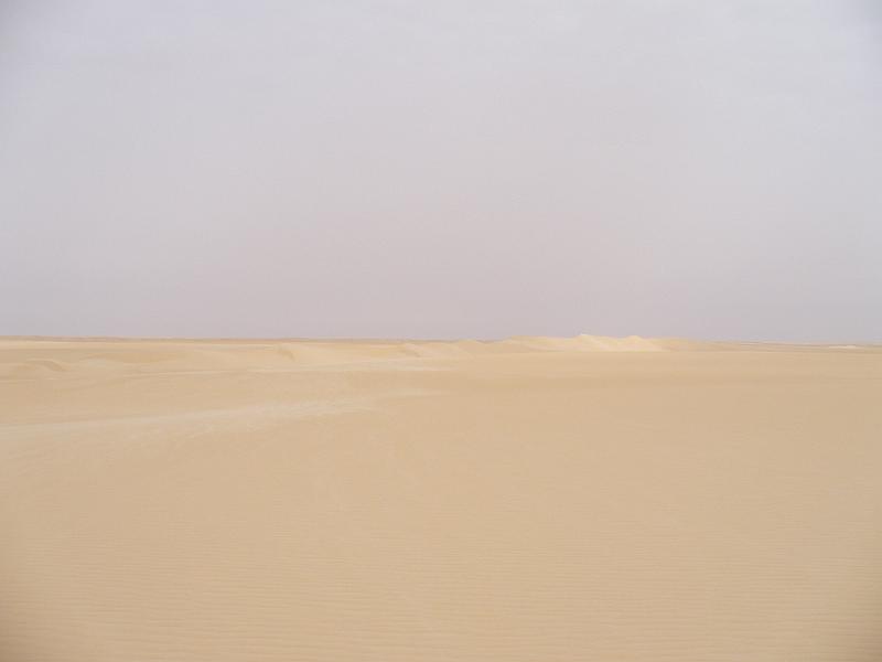 P1000241