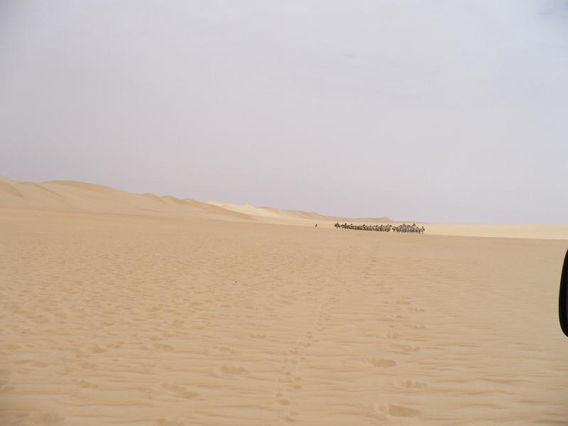 P1000244