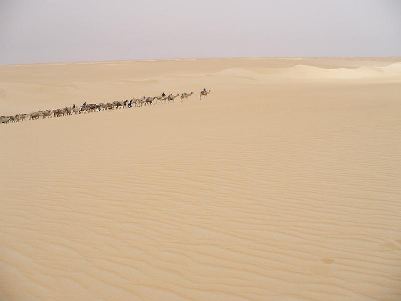 P1000249