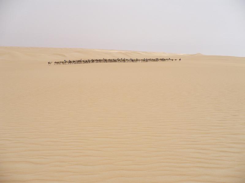 P1000252