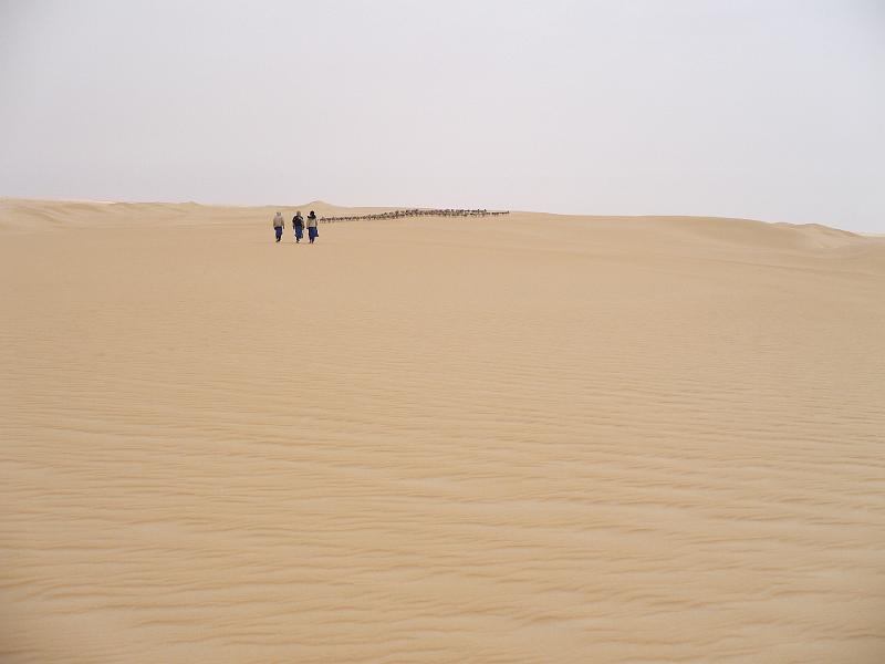 P1000253