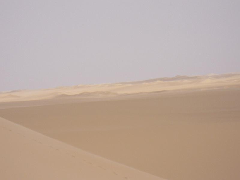 P1000268