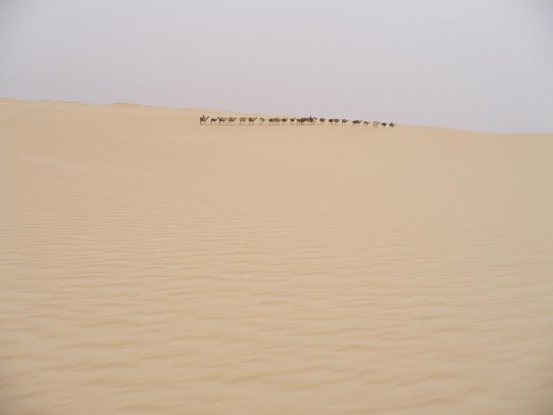 P1000271