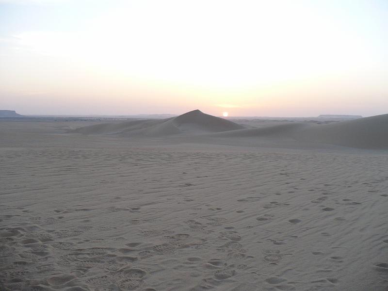 P1000352