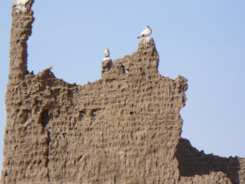 P1000361