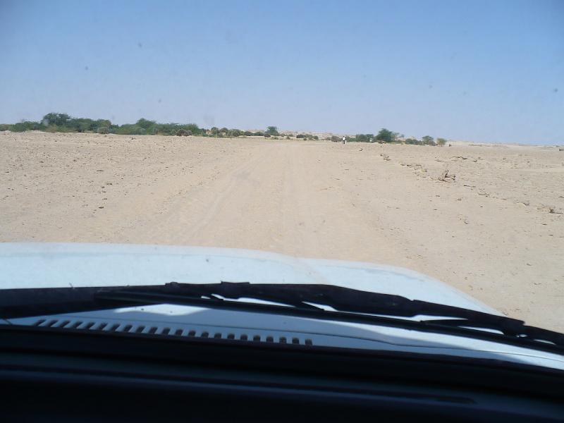 P1000380