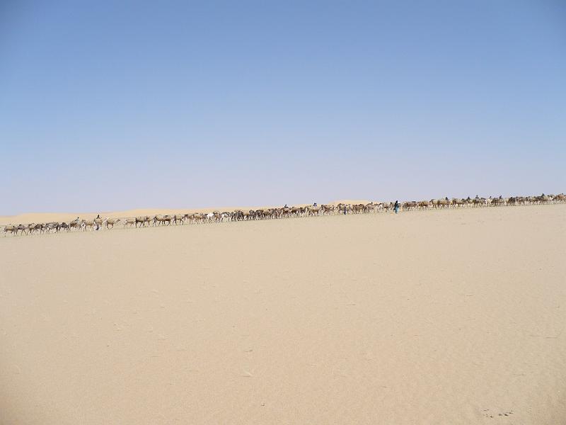 P1000391