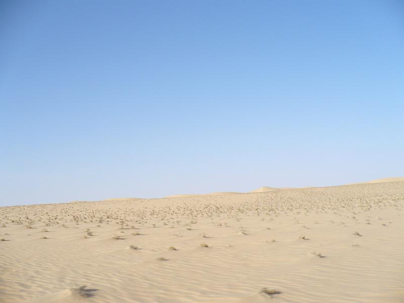 P1000403