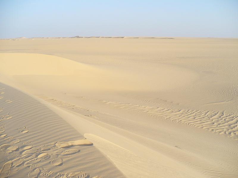 P1000409