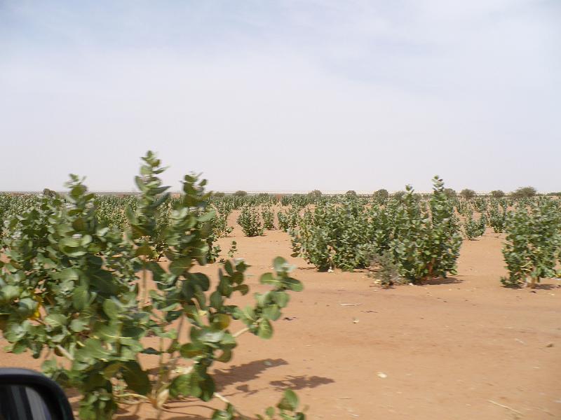 P1000489