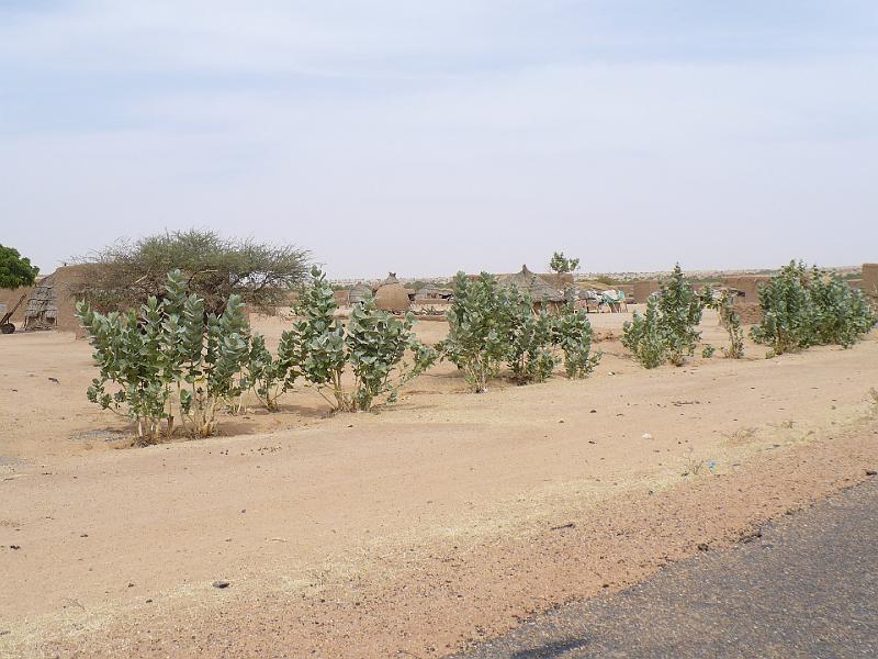 P1000495