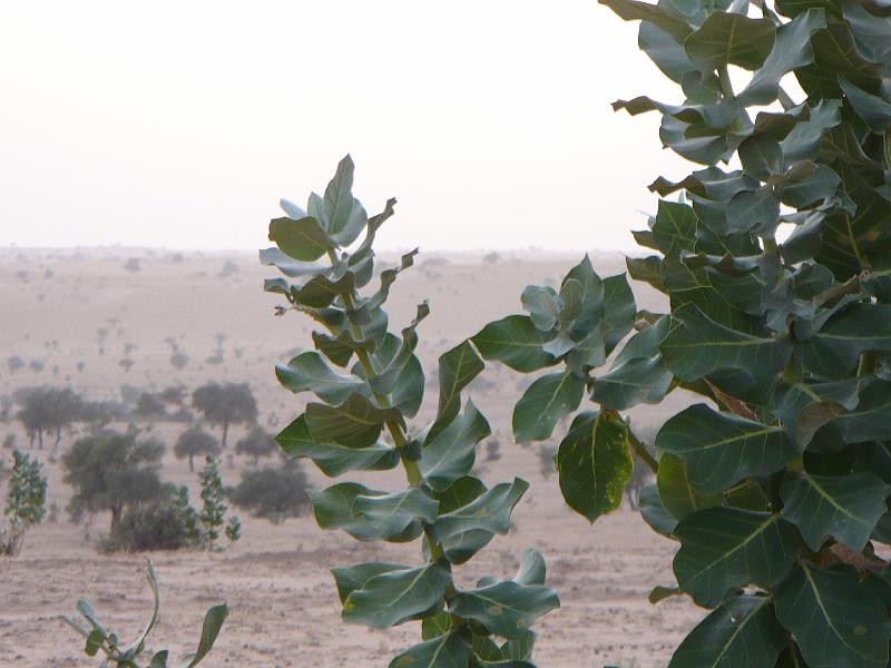 P1000503