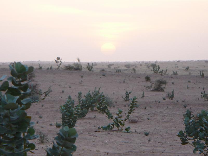 P1000516