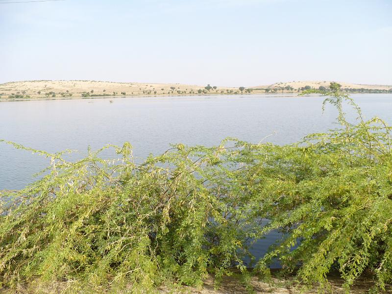 P1000532