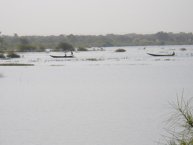 P1000533