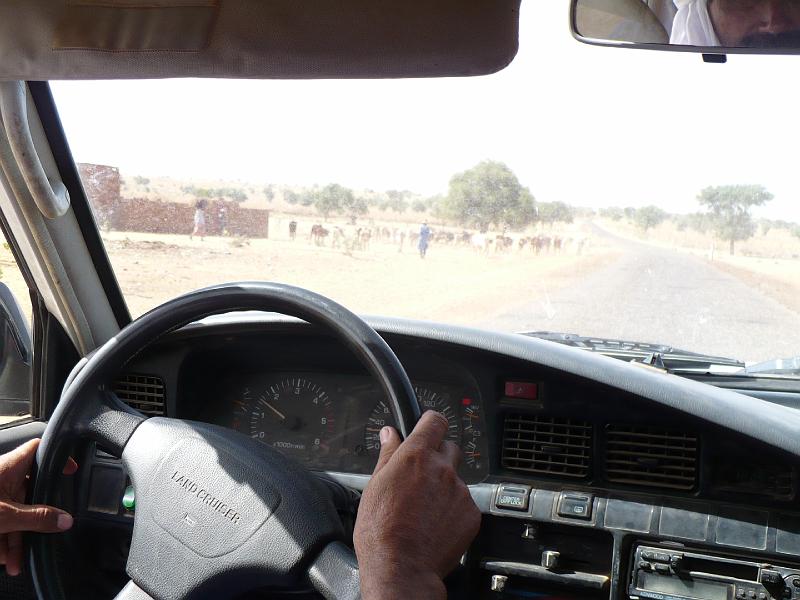 P1000548