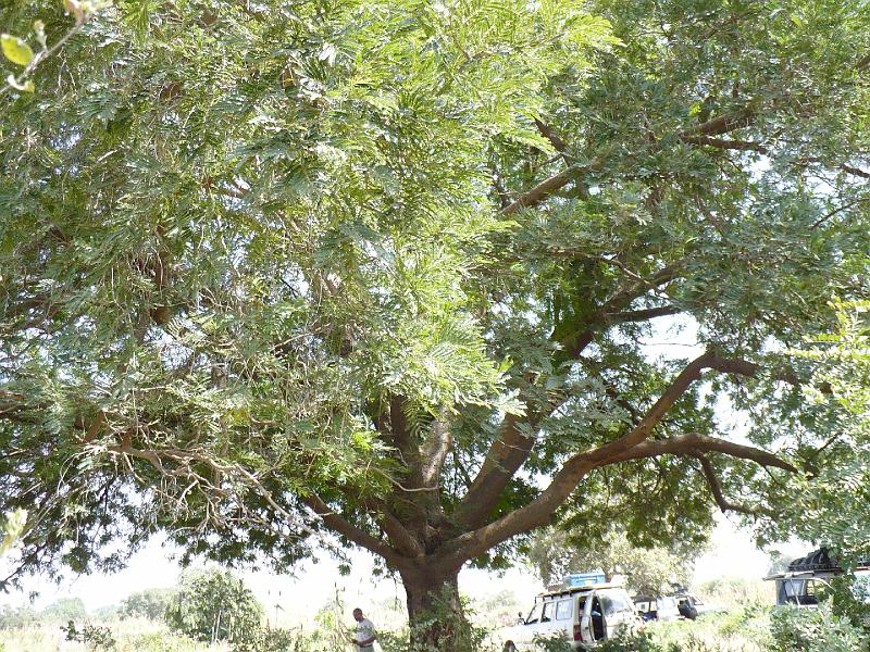 P1000565