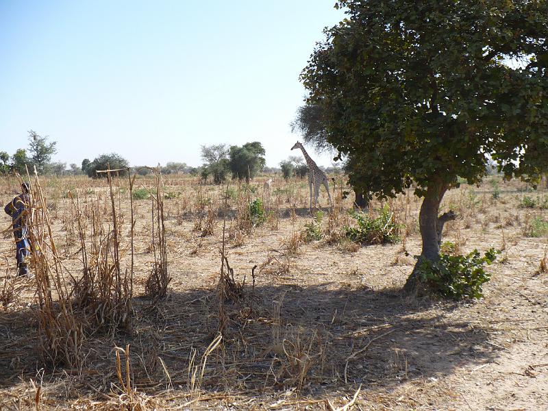 P1000580