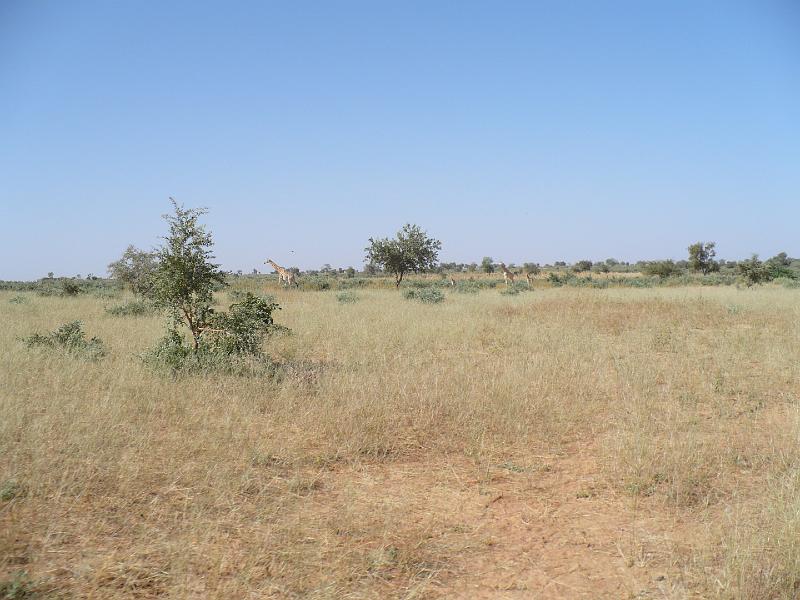 P1000598