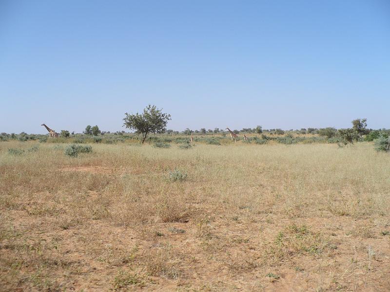 P1000599