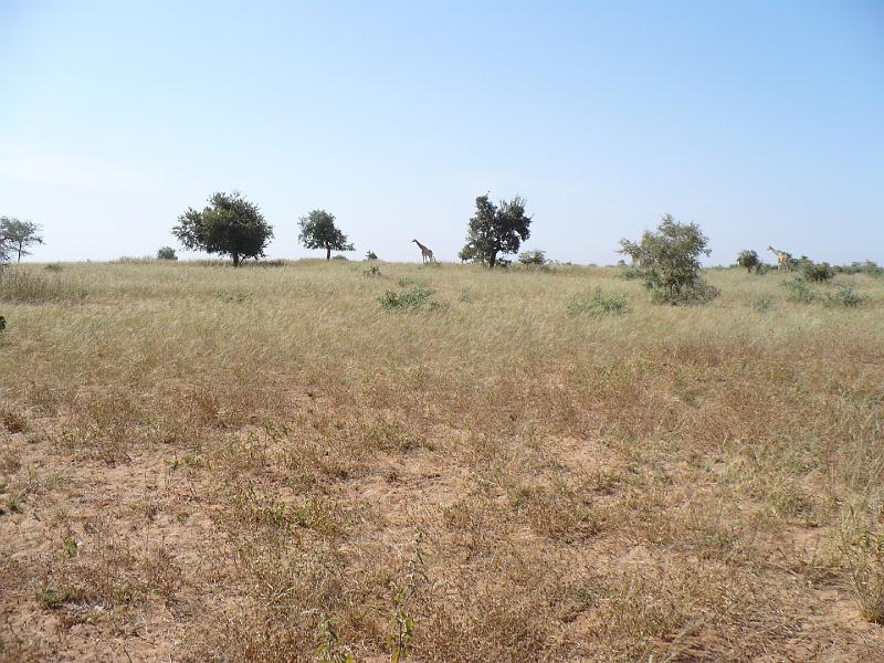 P1000603