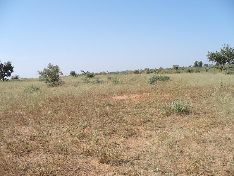 P1000605