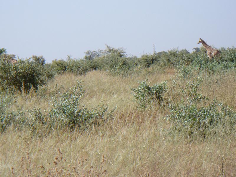 P1000606