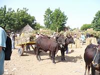 P1000131