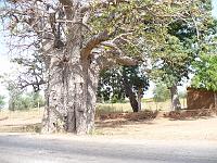 P1000133
